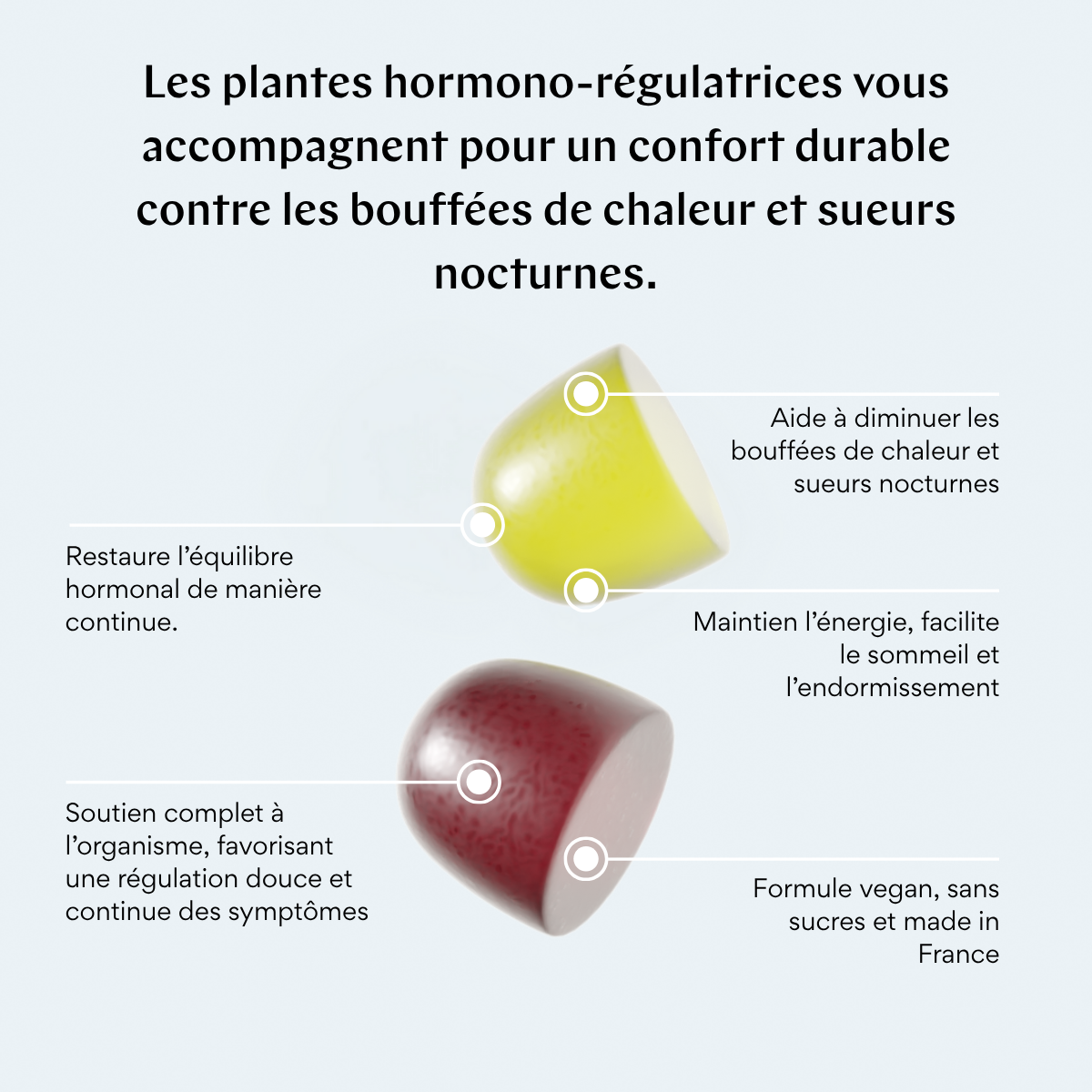 COMPLEXE JOUR & NUIT
