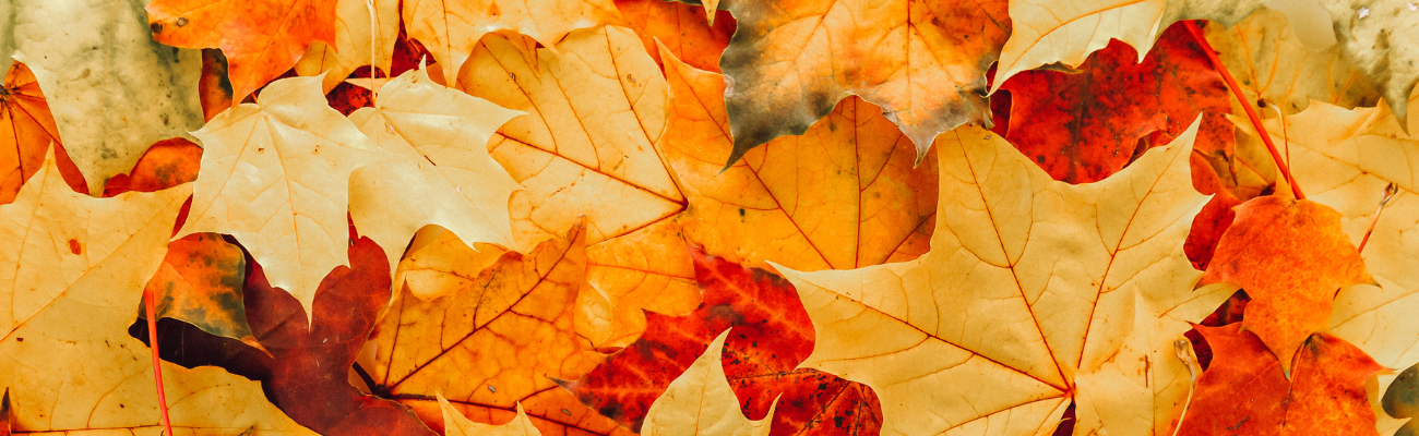 🍂 10 actions pour bien préparer l’automne...et vivre sereinement sa ménopause